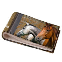 vizitnitsa-dlya-plastikovyh-kart-loshadki-vzk_16a043_bl