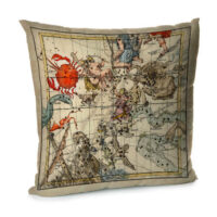 navolochka-oksamitova-dlya-podushki-karta-sozvezdiya-45x45-sm-45bn_uni016
