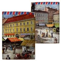 obkladinka-na-pasport-puteshestvie-pd_br036
