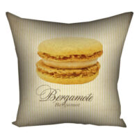 podushka-z-printom-gabardinova-macaroons-bergamote-40x40-sm-4p_swe015