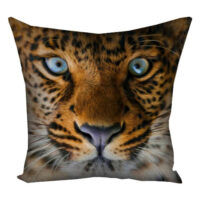 podushka-z-printom-gabardinova-leopard-50x50-sm-5p_ani006