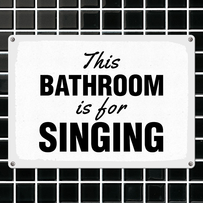 Металева табличка This bathroom is for singing 26х18,5 см (MET_20J005_WH)