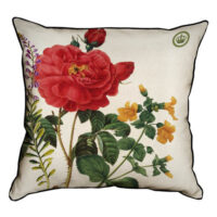 navolochka-z-mishkovini-rosa-gallica-aurelianensis-45x45-sm-45nhb_bot001_wh