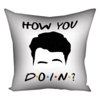 podushka-z-printom-gabardinova-how-you-doin-30x30-sm-3p_dr002