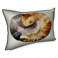 podushka-interyerna-z-mishkovini-mizh-nami-nizhnist-45x32-sm-43phb_22l002