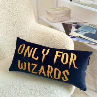 podushka-dekorativna-oksamitova-only-for-wizards-50x24-sm-52bp_22u007