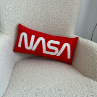 podushka-dekorativna-oksamitova-nasa-50x24-sm-52bp_uni007
