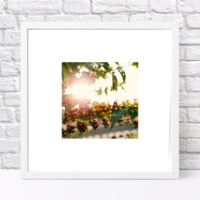 poster-u-ramtsi-gilka-kavovogo-dereva-30x30-sm-wkmt_cof004_wh