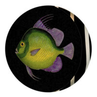 podushka-puf-krugla-zelena-ribka-35-sm-pp_sea002